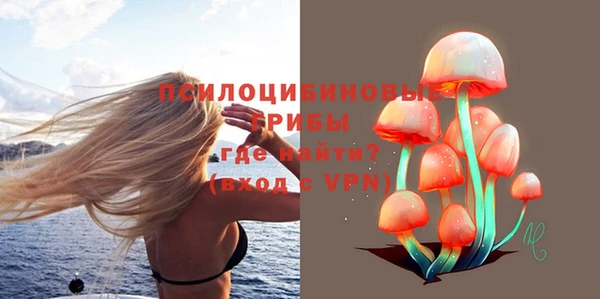 бутират Белокуриха