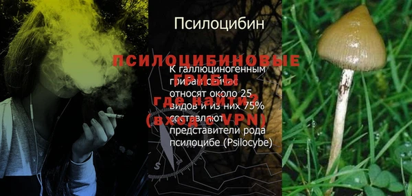бутират Белокуриха