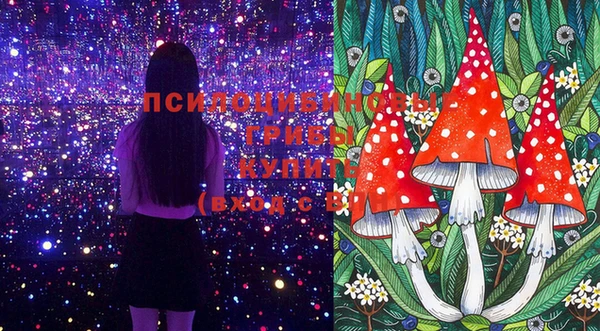 мяу мяу мука Беломорск