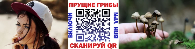 Псилоцибиновые грибы GOLDEN TEACHER  Сердобск 