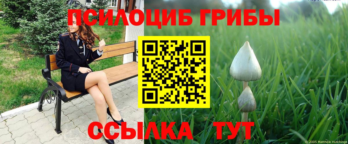 Псилоцибиновые грибы прущие грибы  Вход с VPN  Сердобск 