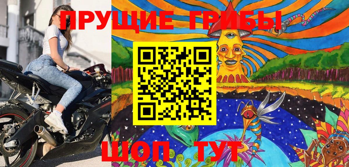 Псилоцибиновые грибы Psilocybe Сердобск